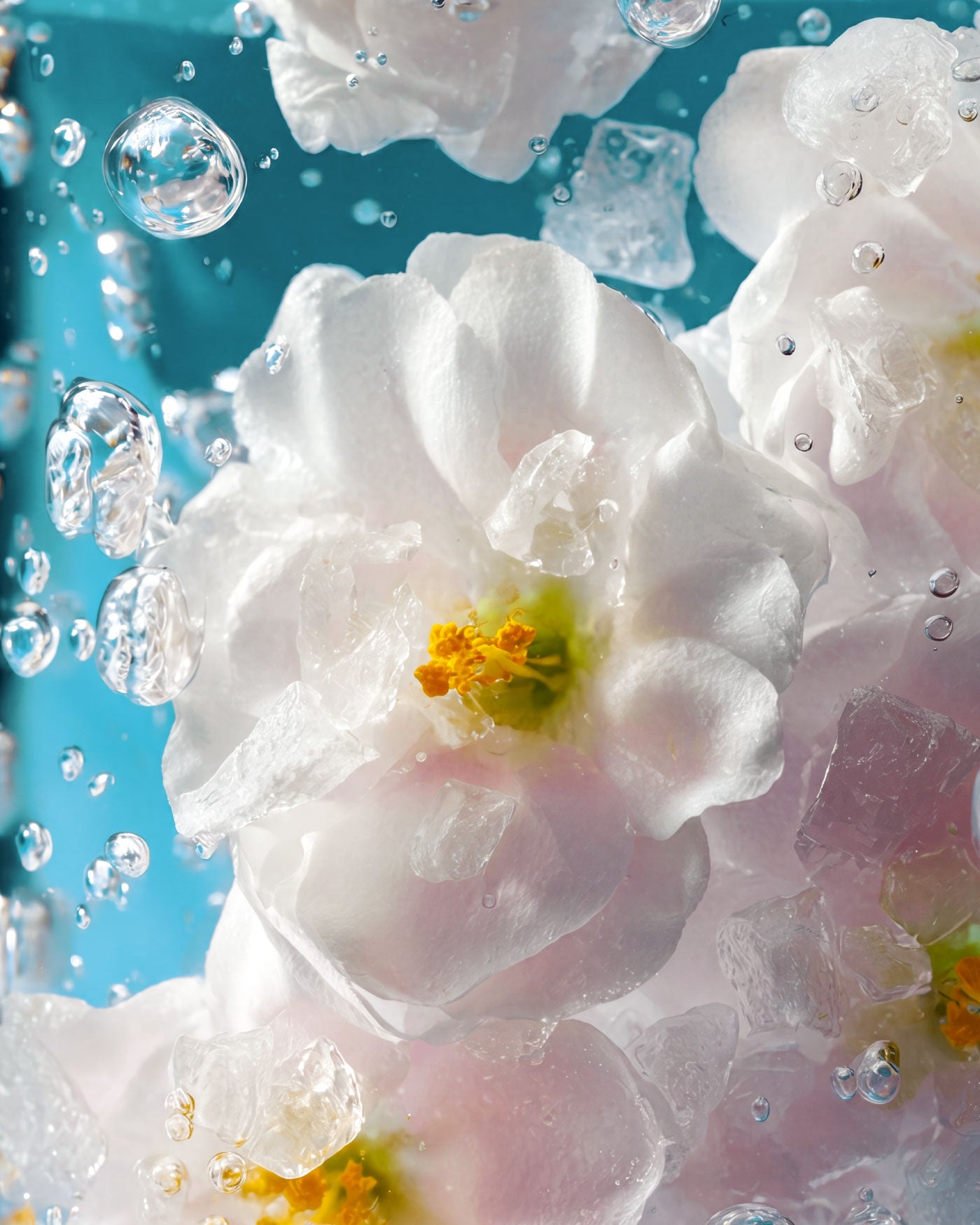 DREAMIST 03: Acqua Profumata Shimmer - Fiori Bianchi & Sale Marino - Default Title - Astra Make-Up
