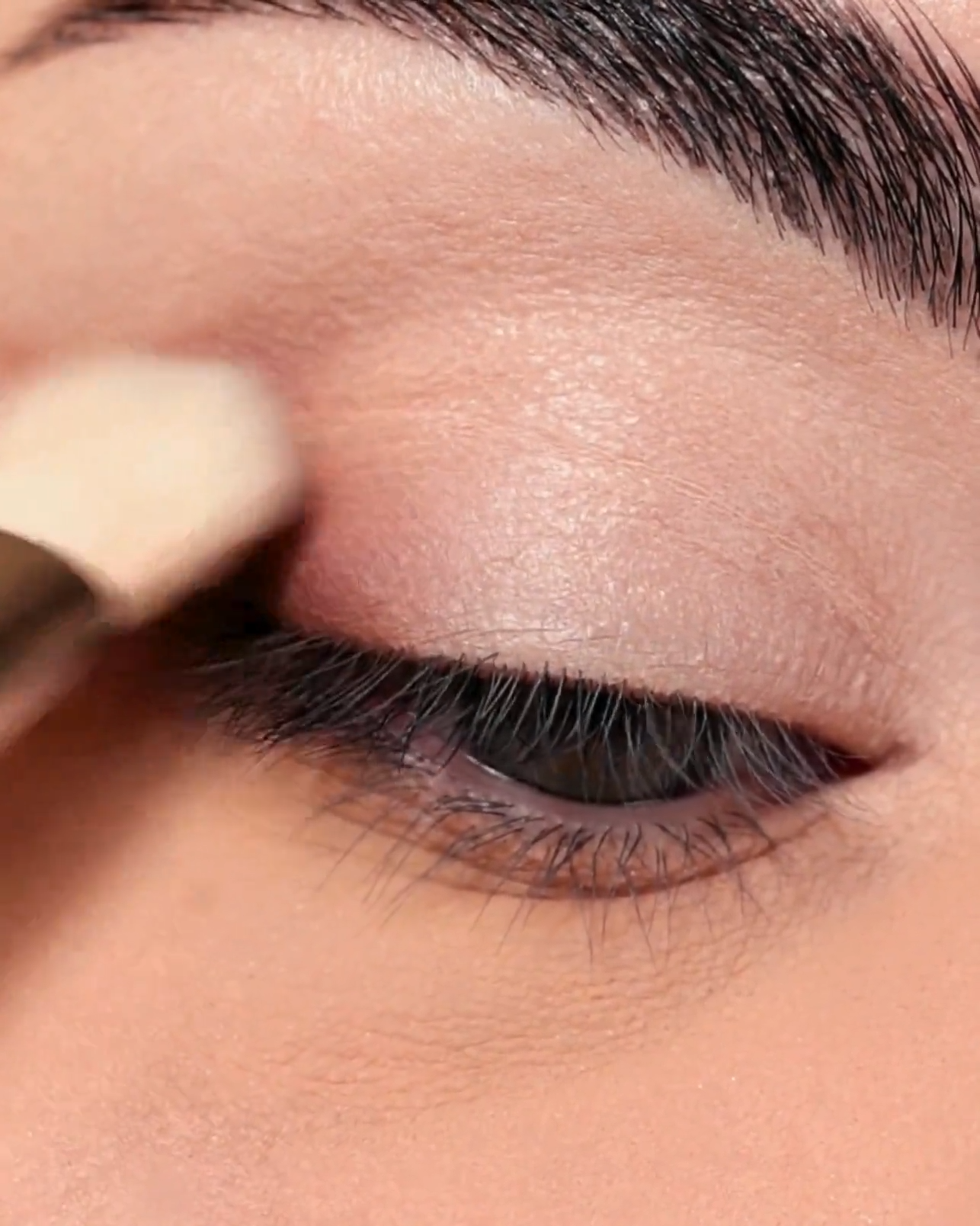 applicazione-ombretto.png - Astra Make-Up